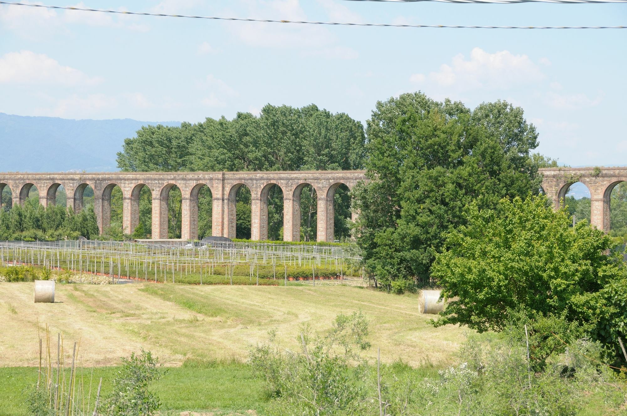 Appartamenti Vacanze Il Nottolini Capannori Exterior foto